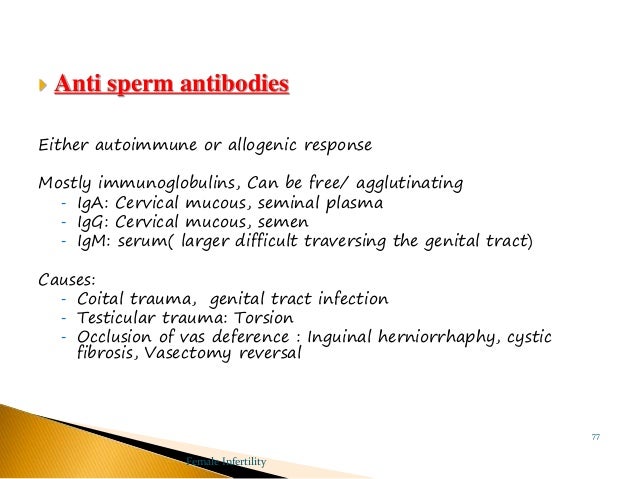 Natural remedies for anti sperm antibodies Pictures of latina pornstars